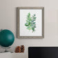 Eucalyptus II - Barnwood Framed Canvas Print