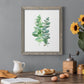 Eucalyptus II - Barnwood Framed Canvas Print