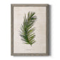 Palm Botanical II - Barnwood Framed Canvas Print