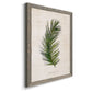 Palm Botanical II - Barnwood Framed Canvas Print