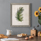 Palm Botanical II - Barnwood Framed Canvas Print