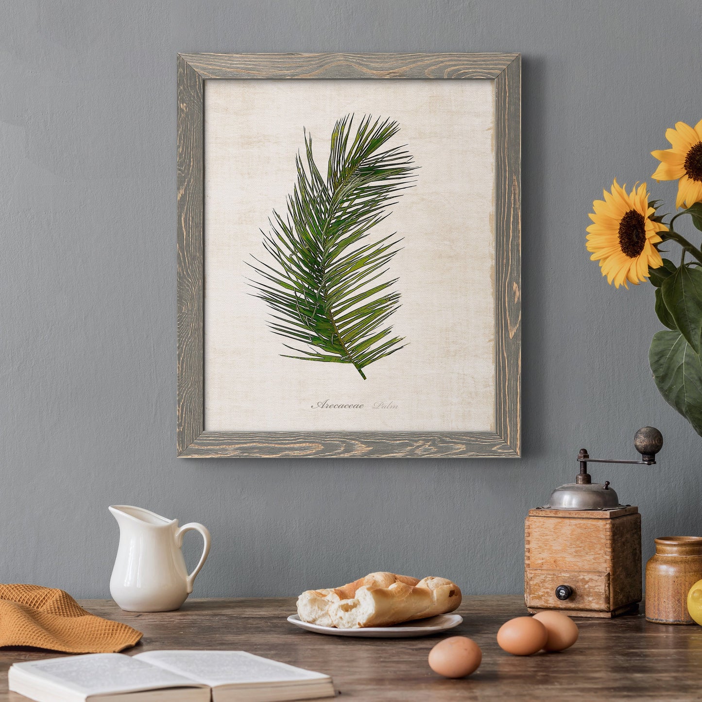 Palm Botanical II - Barnwood Framed Canvas Print