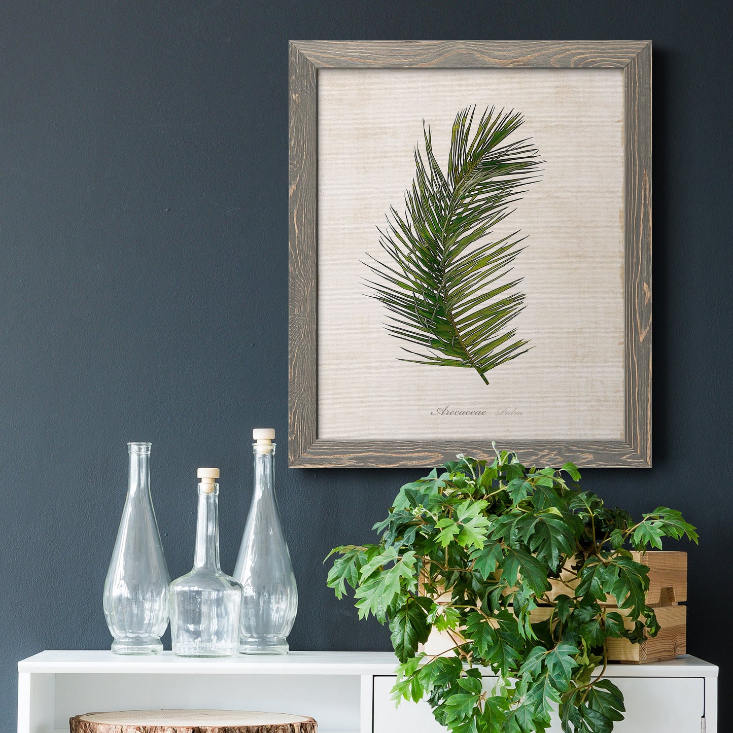 Palm Botanical II - Barnwood Framed Canvas Print
