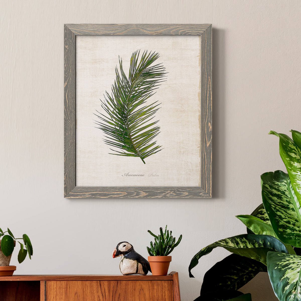 Palm Botanical II - Barnwood Framed Canvas Print