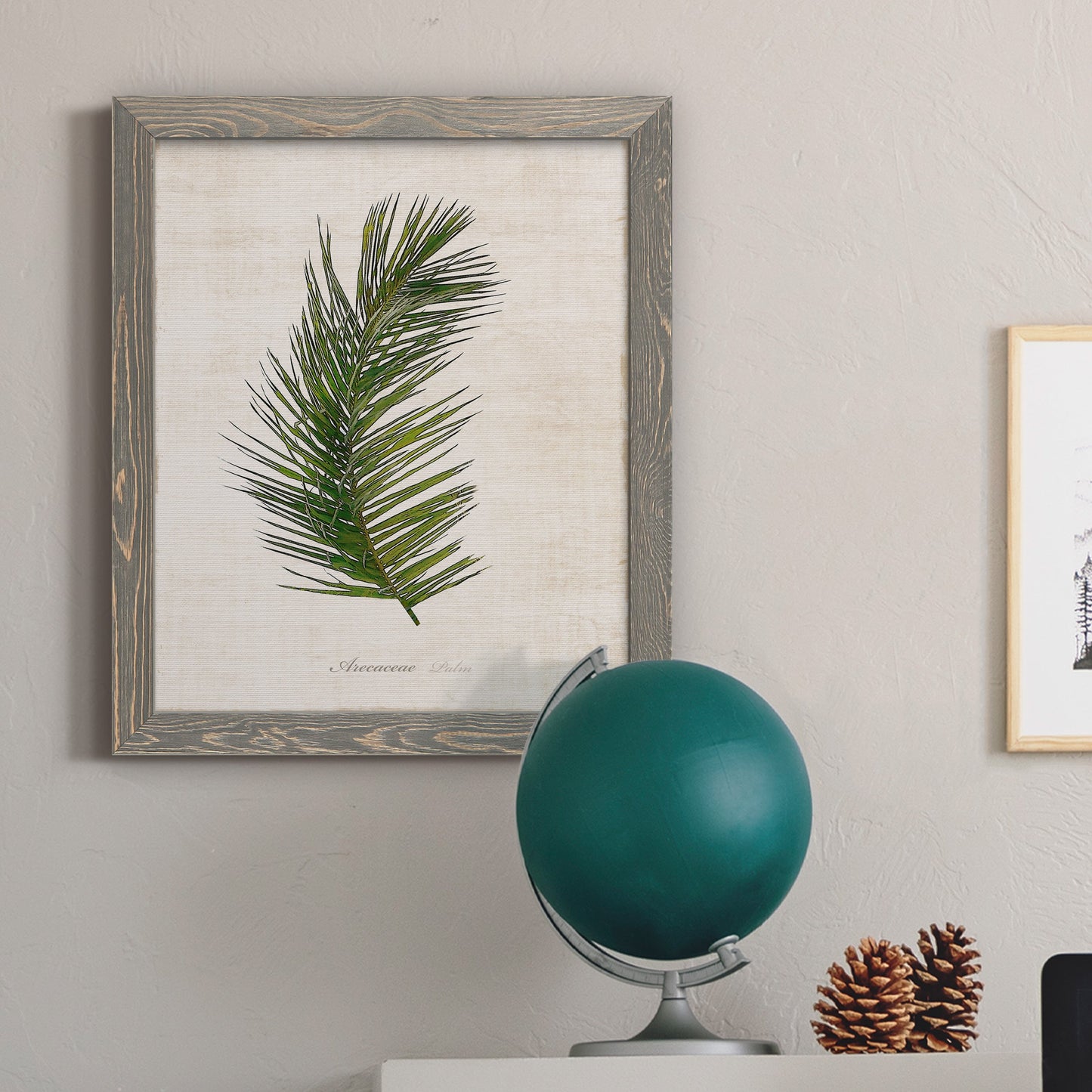Palm Botanical II - Barnwood Framed Canvas Print