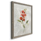 Linen Sweet Pea - Barnwood Framed Canvas Print