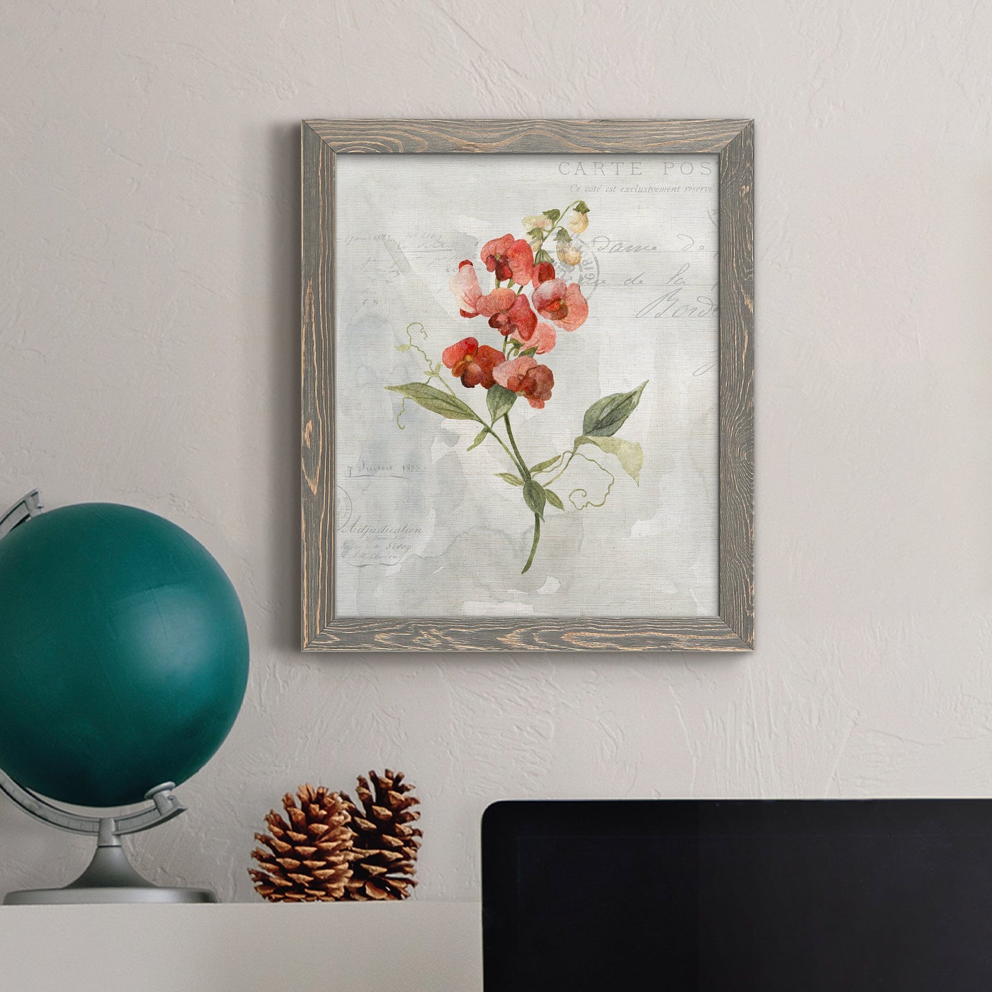 Linen Sweet Pea - Barnwood Framed Canvas Print