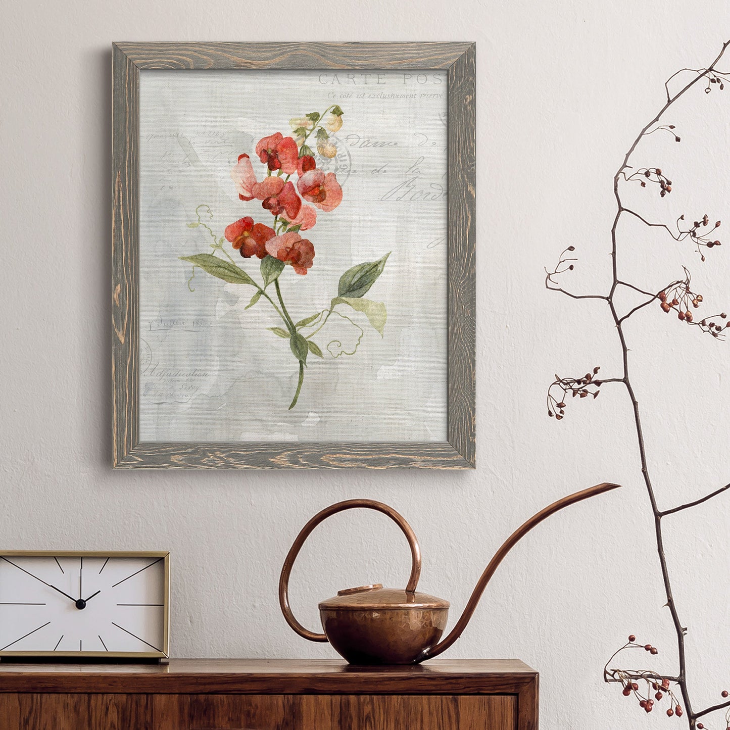 Linen Sweet Pea - Barnwood Framed Canvas Print