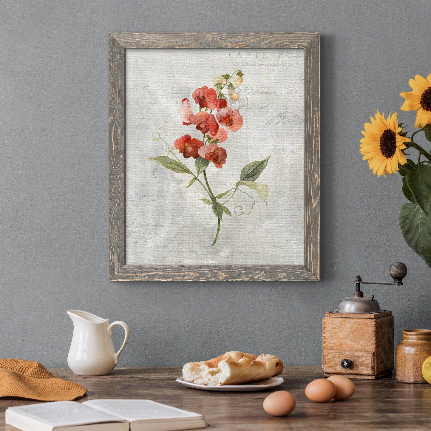 Linen Sweet Pea - Barnwood Framed Canvas Print