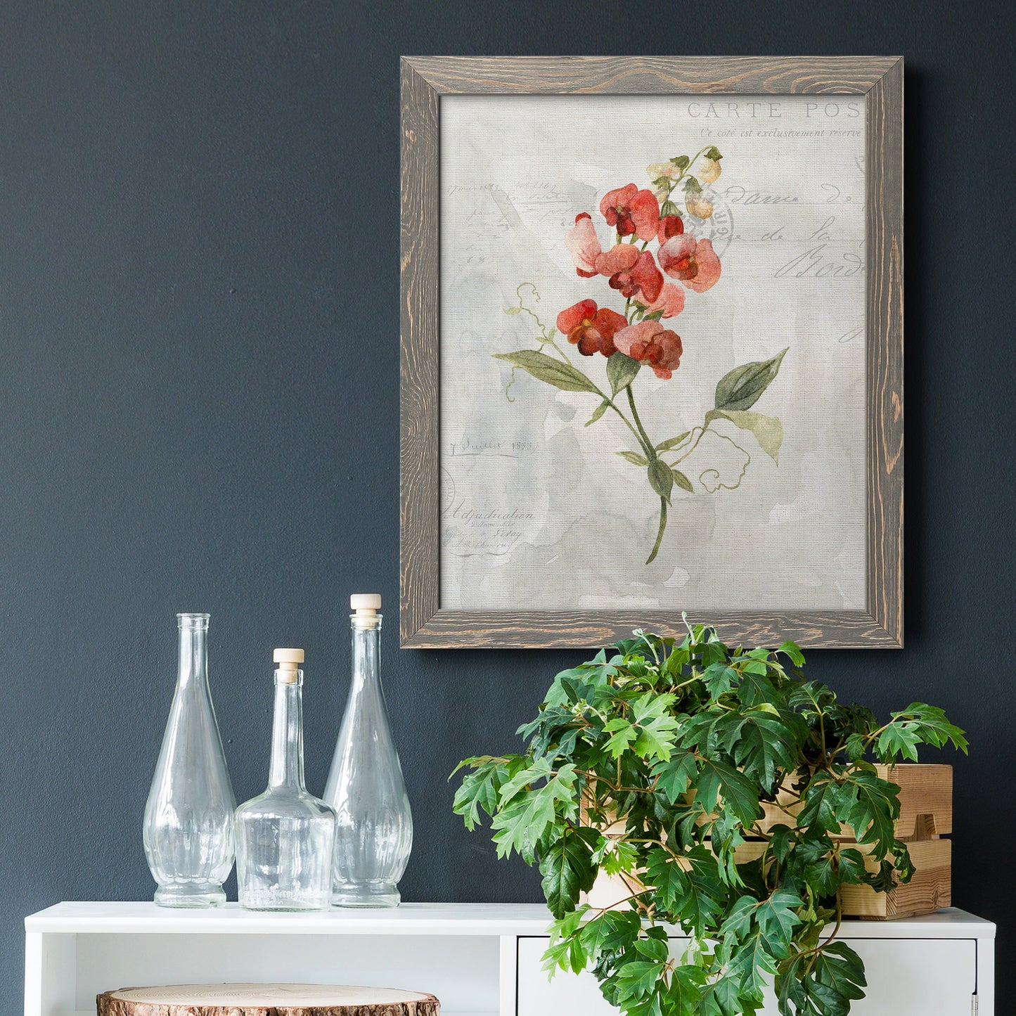 Linen Sweet Pea - Barnwood Framed Canvas Print