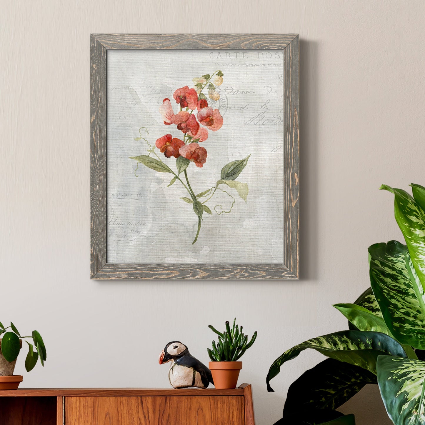 Linen Sweet Pea - Barnwood Framed Canvas Print