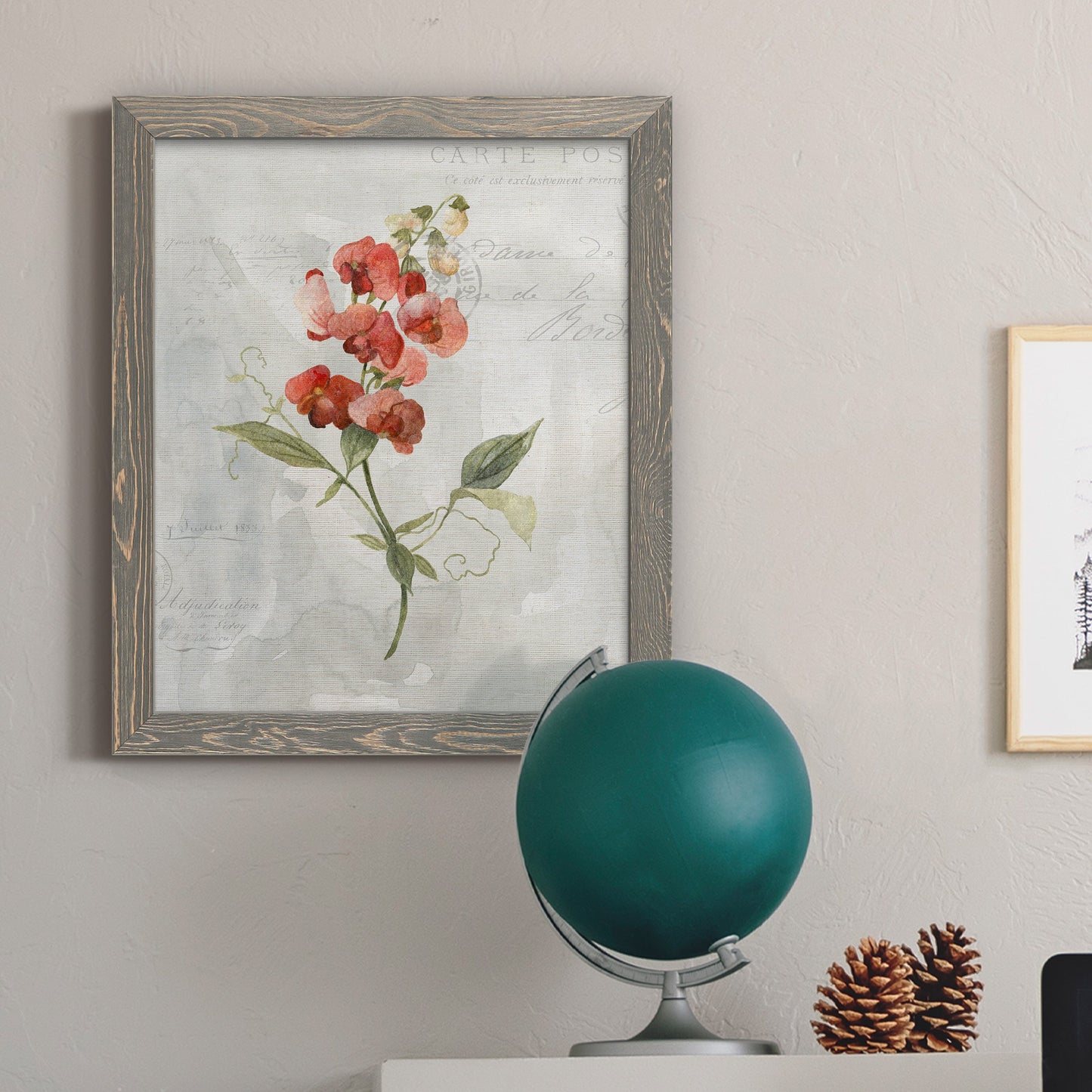 Linen Sweet Pea - Barnwood Framed Canvas Print