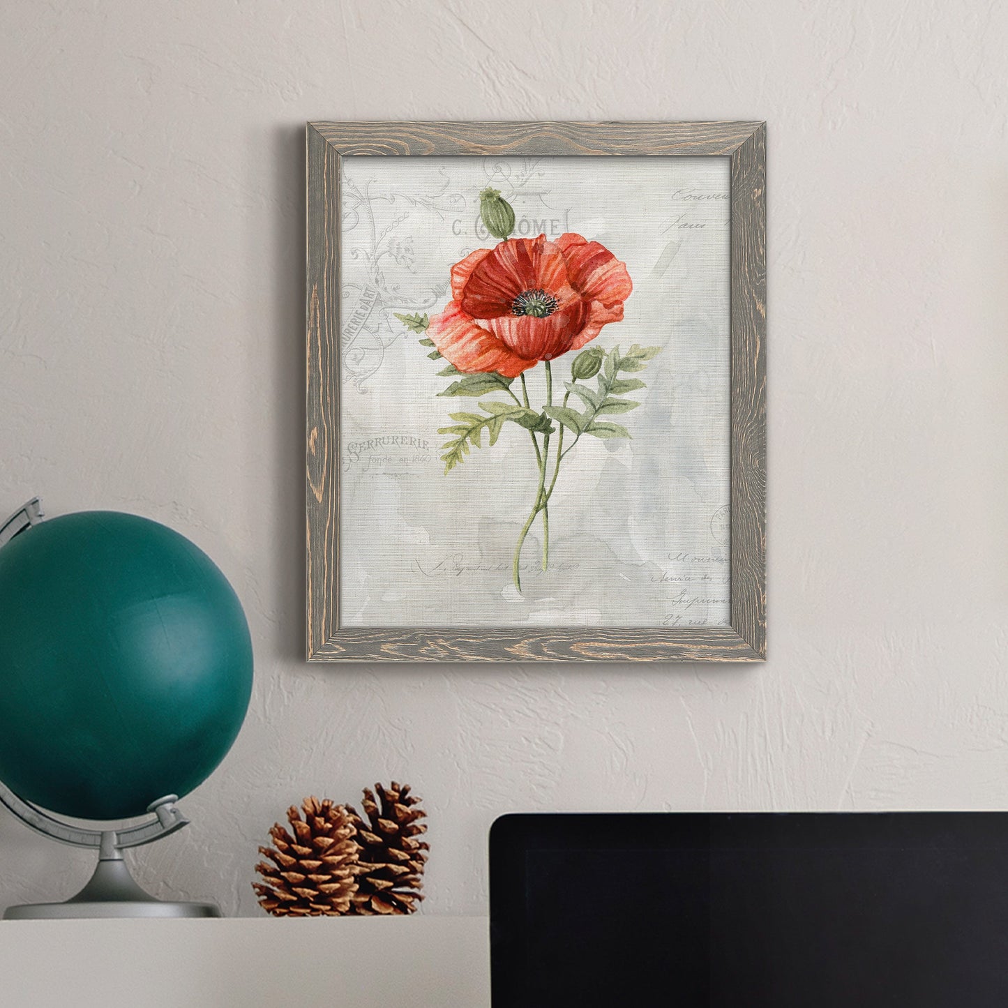 Linen Poppy - Barnwood Framed Canvas Print