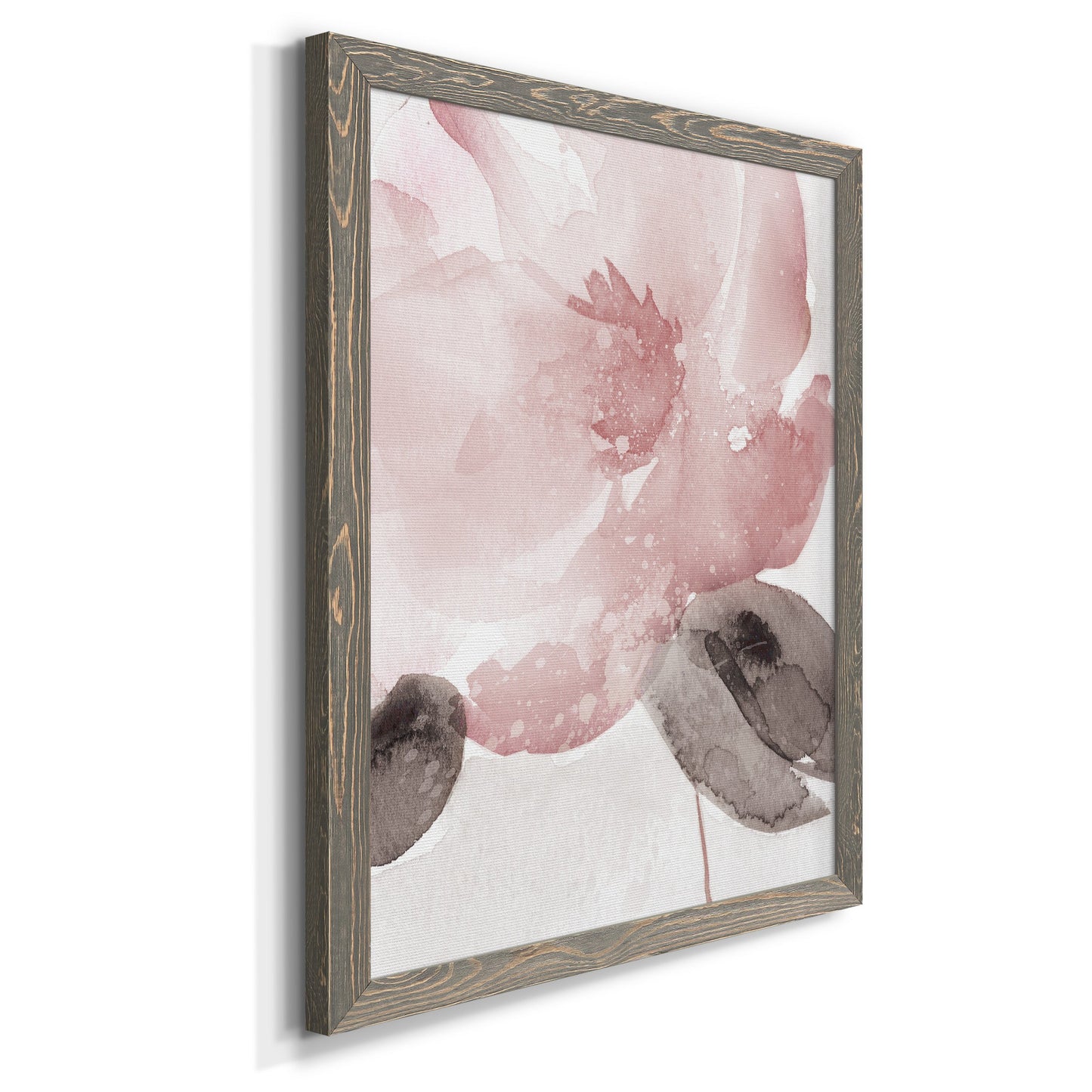 Blush Bloom I - Barnwood Framed Canvas Print