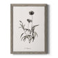 Sketchbook Imperial - Barnwood Framed Canvas Print