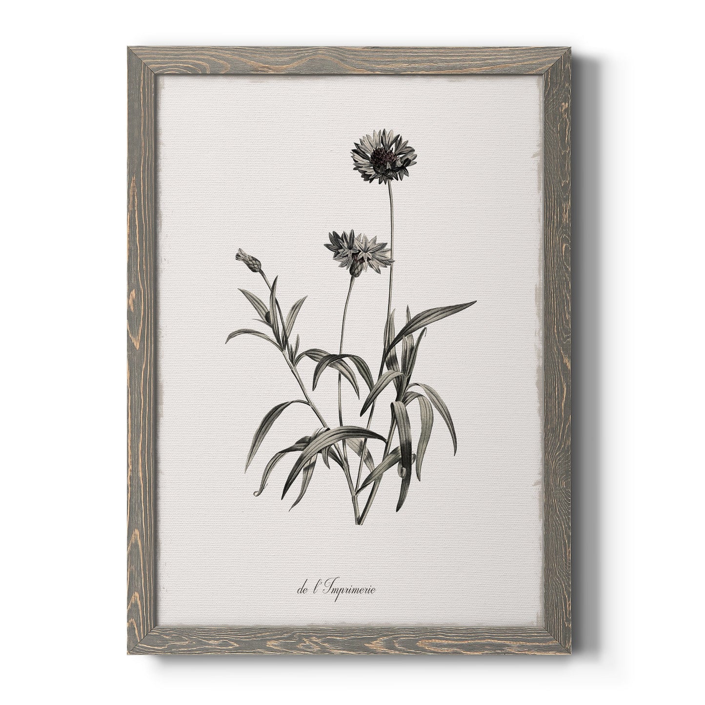 Sketchbook Imperial - Barnwood Framed Canvas Print
