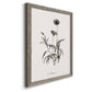 Sketchbook Imperial - Barnwood Framed Canvas Print