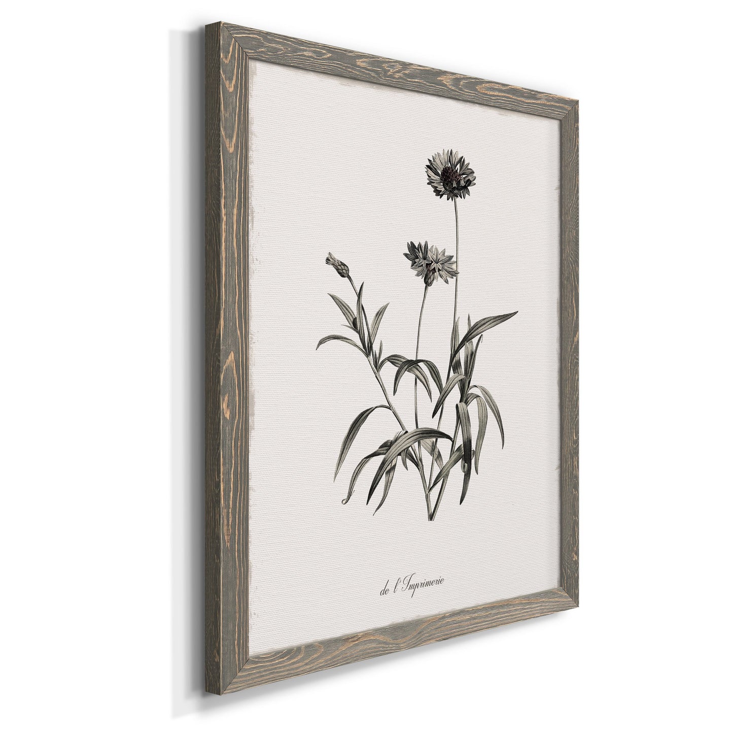 Sketchbook Imperial - Barnwood Framed Canvas Print