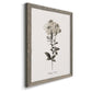 Sketchbook Leadwort - Barnwood Framed Canvas Print