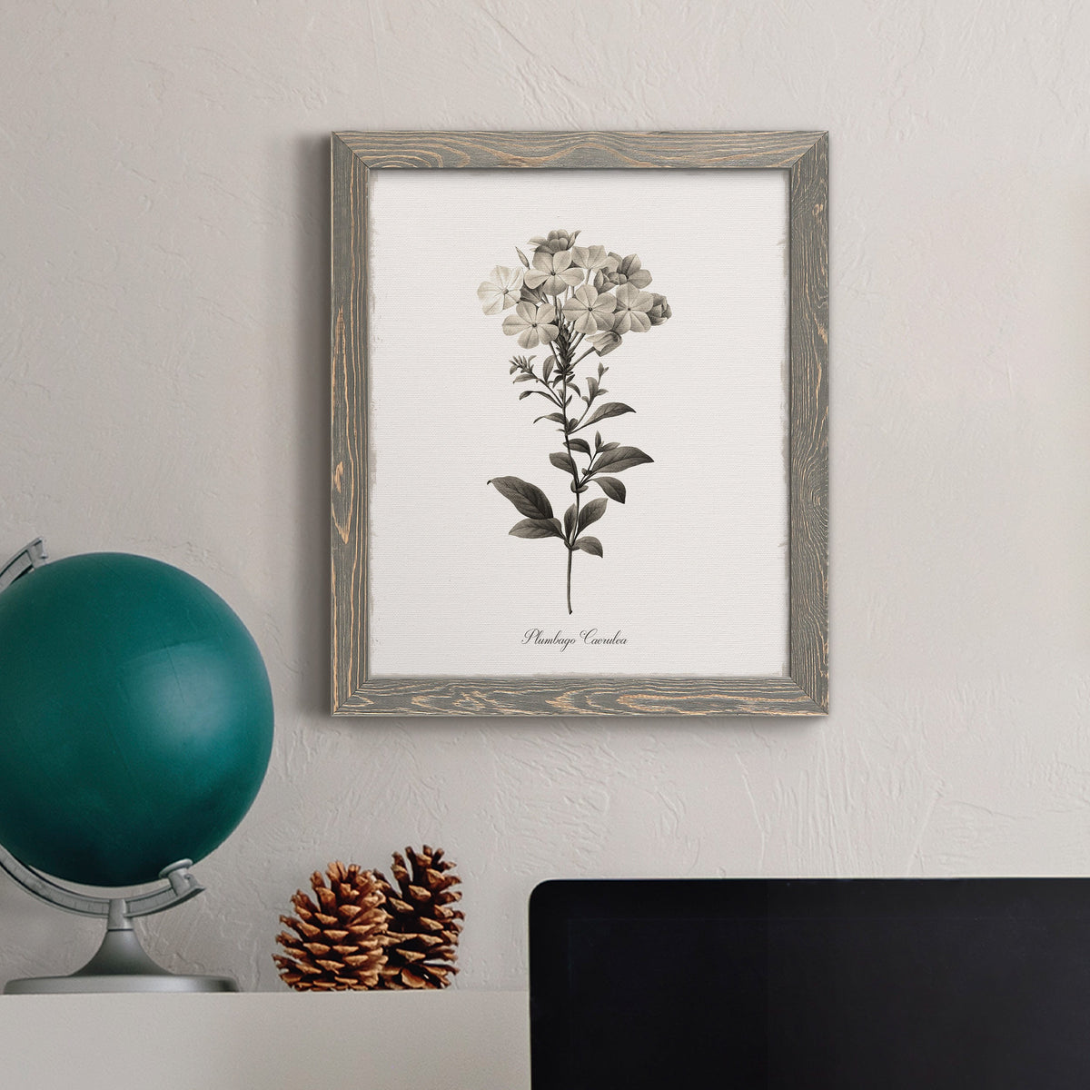 Sketchbook Leadwort - Barnwood Framed Canvas Print