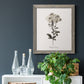 Sketchbook Leadwort - Barnwood Framed Canvas Print
