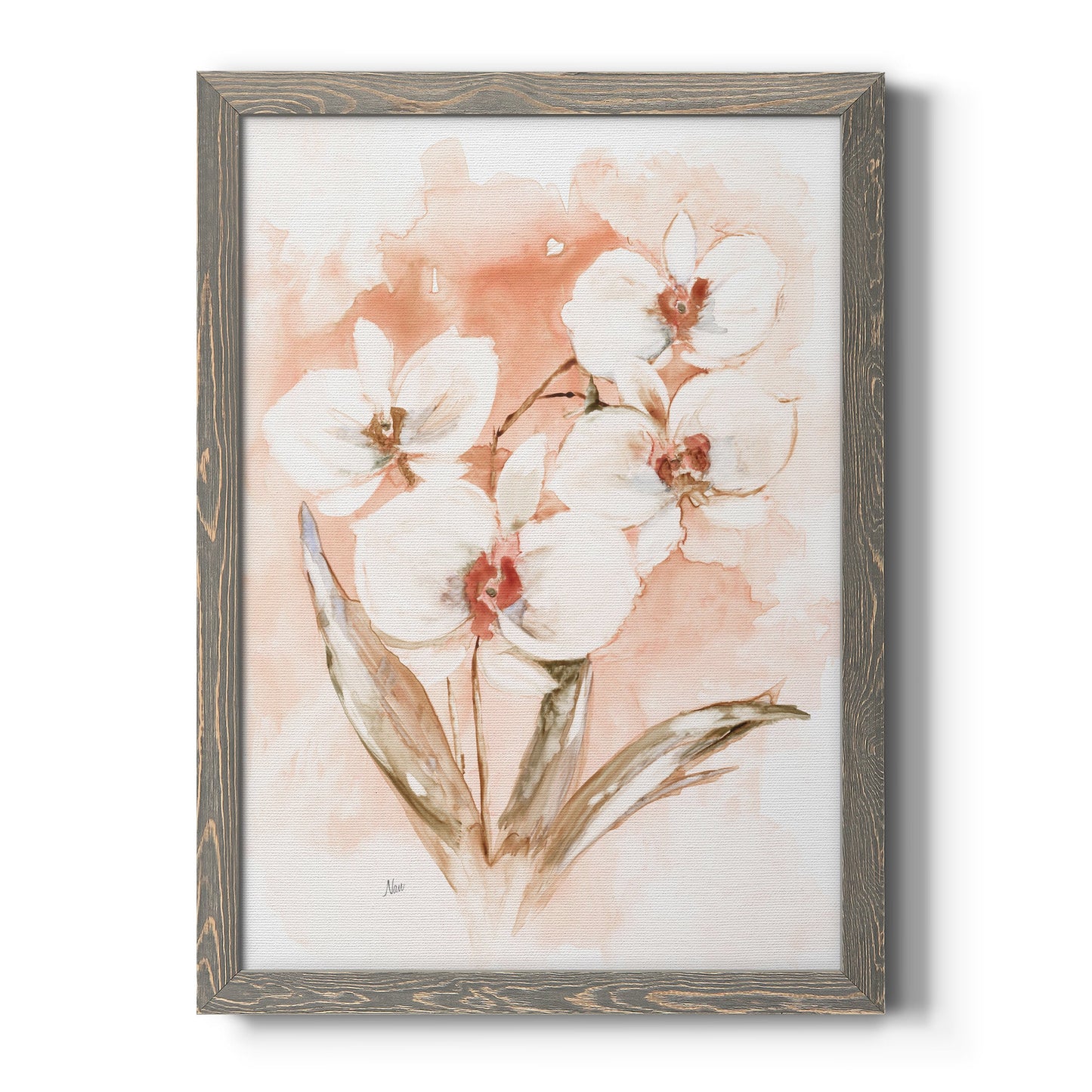 White and Coral Orchid I - Barnwood Framed Canvas Print