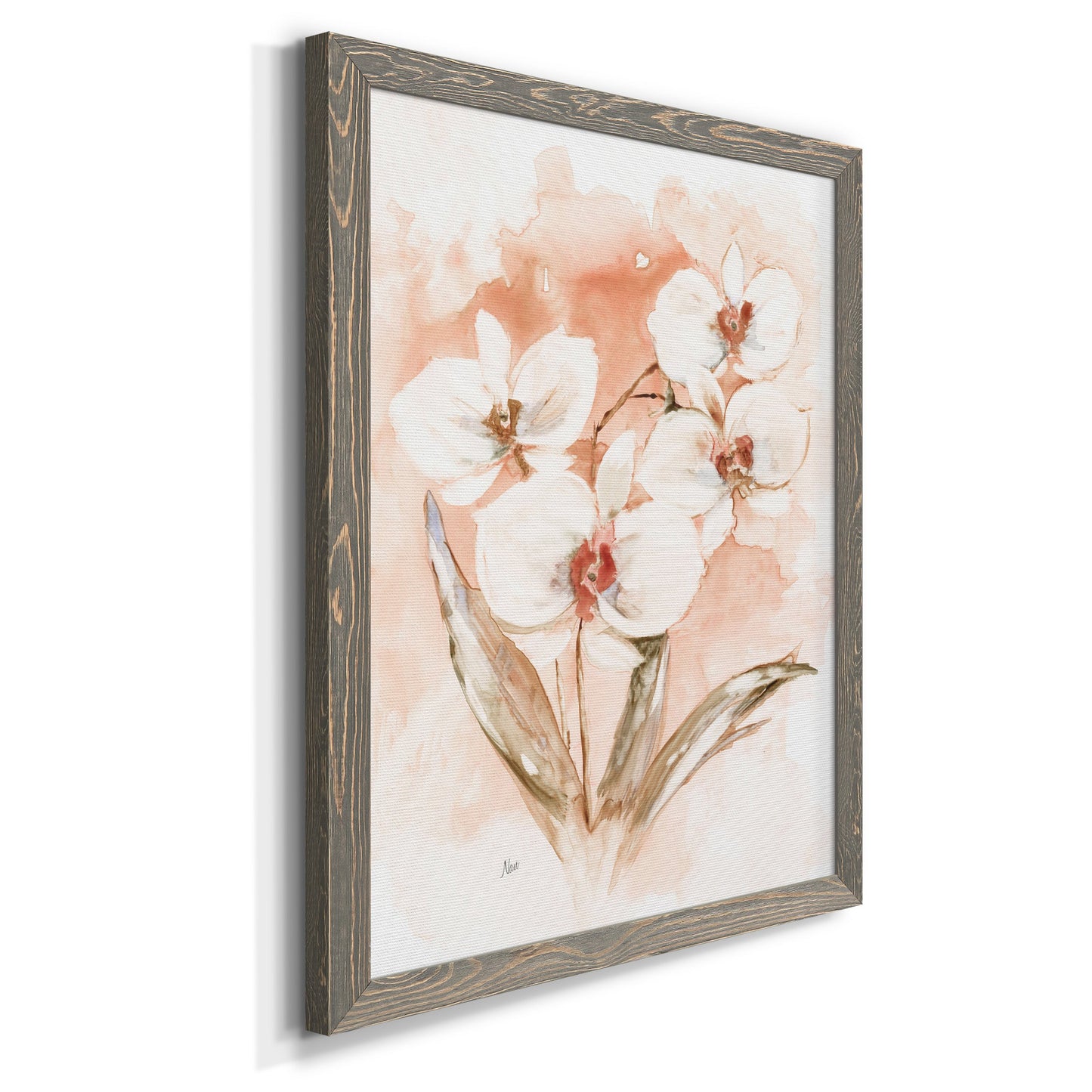 White and Coral Orchid I - Barnwood Framed Canvas Print