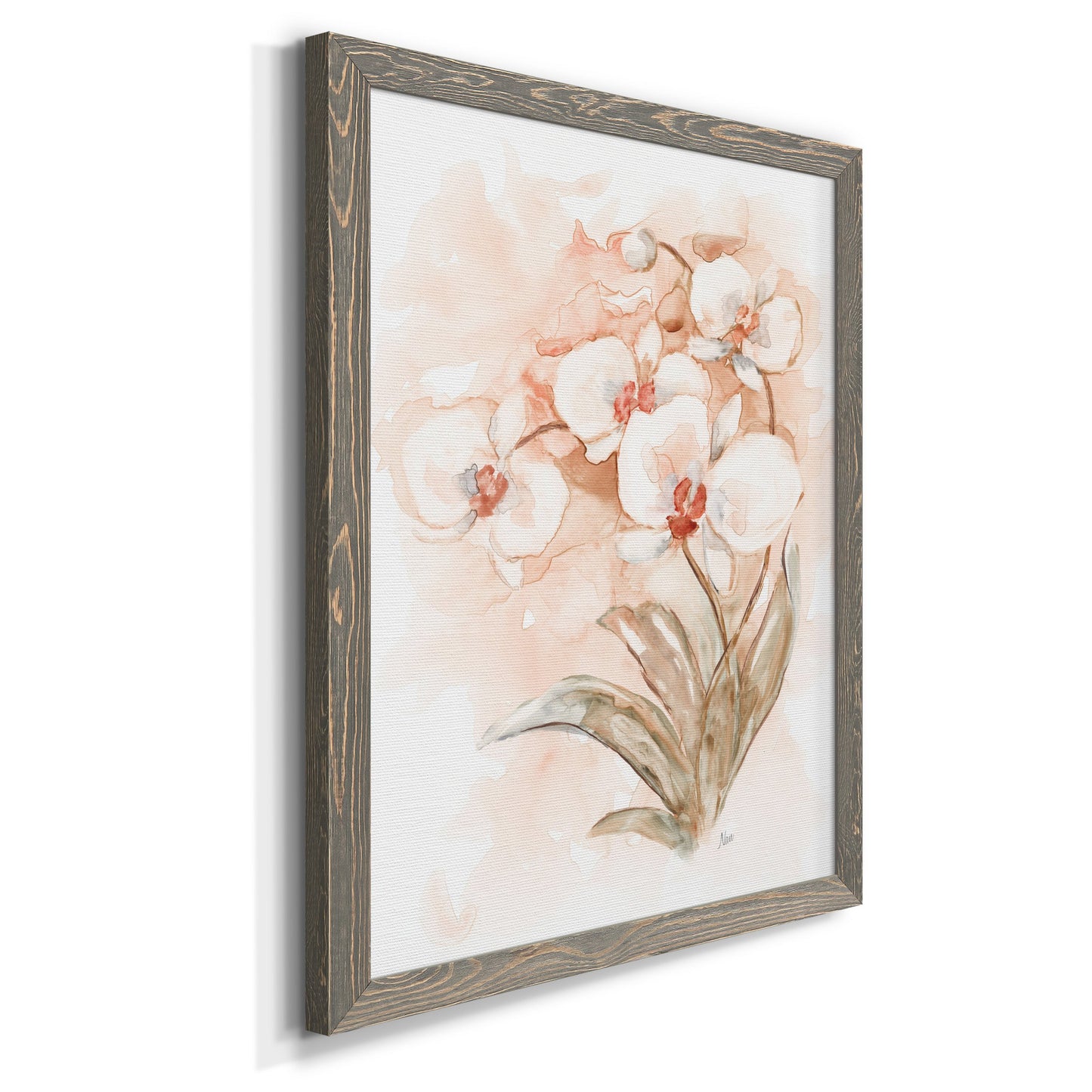 White and Coral Orchid II - Barnwood Framed Canvas Print