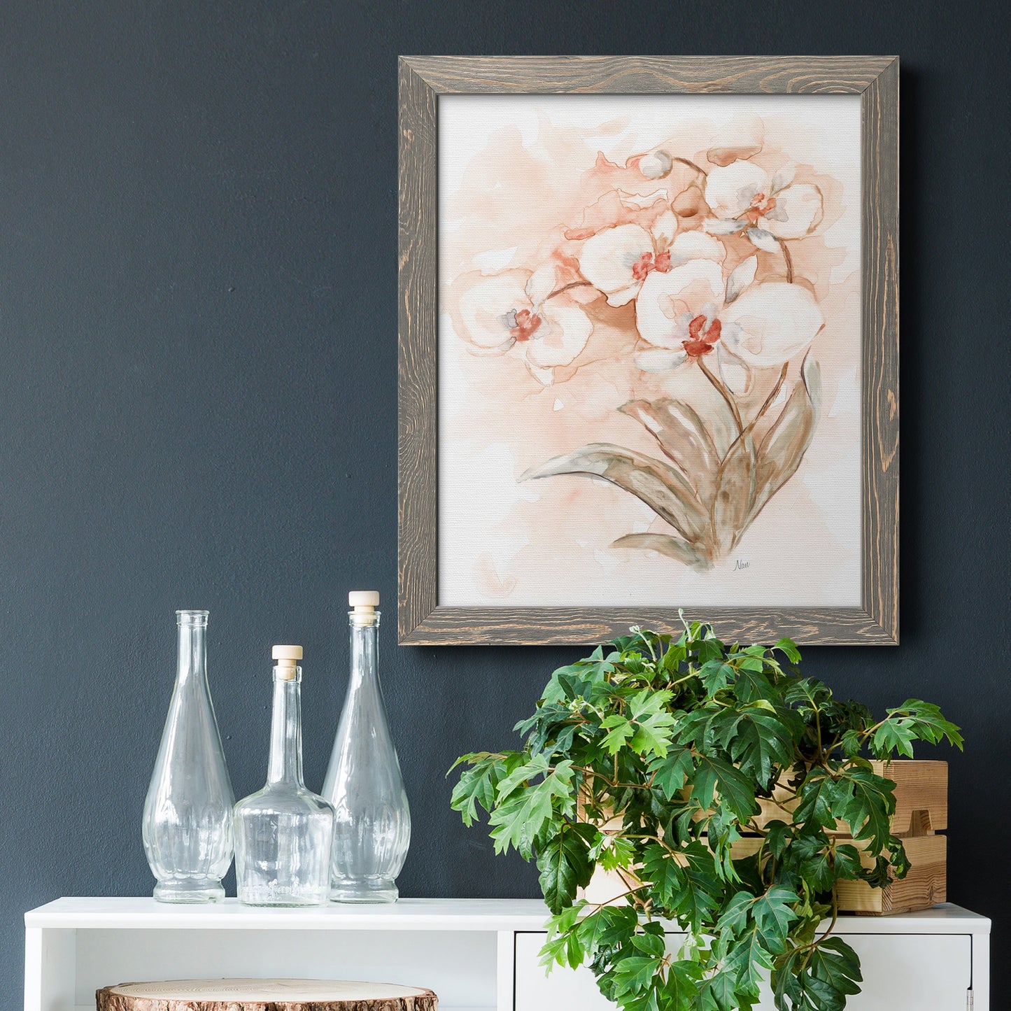 White and Coral Orchid II - Barnwood Framed Canvas Print