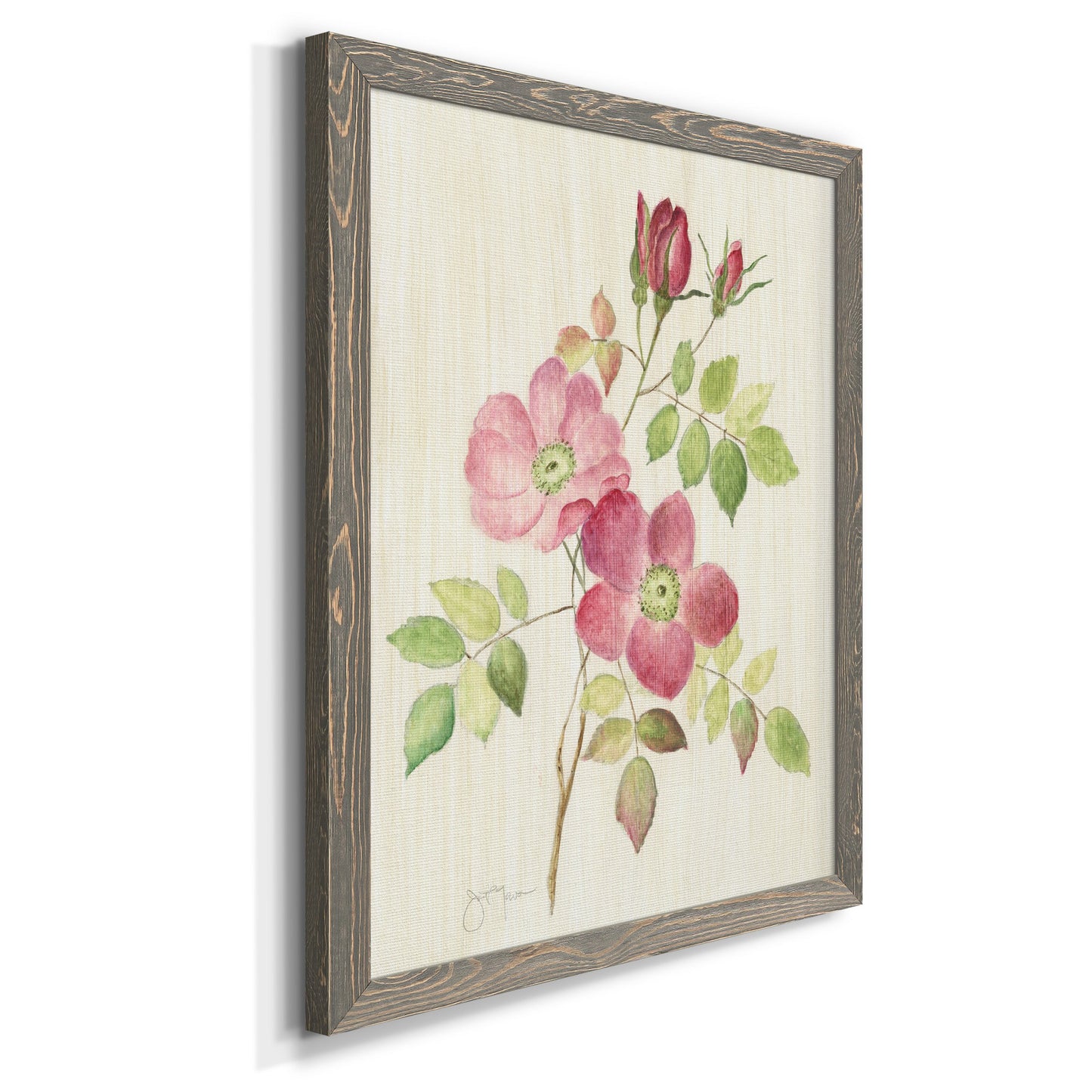 Dusty Rose I - Barnwood Framed Canvas Print