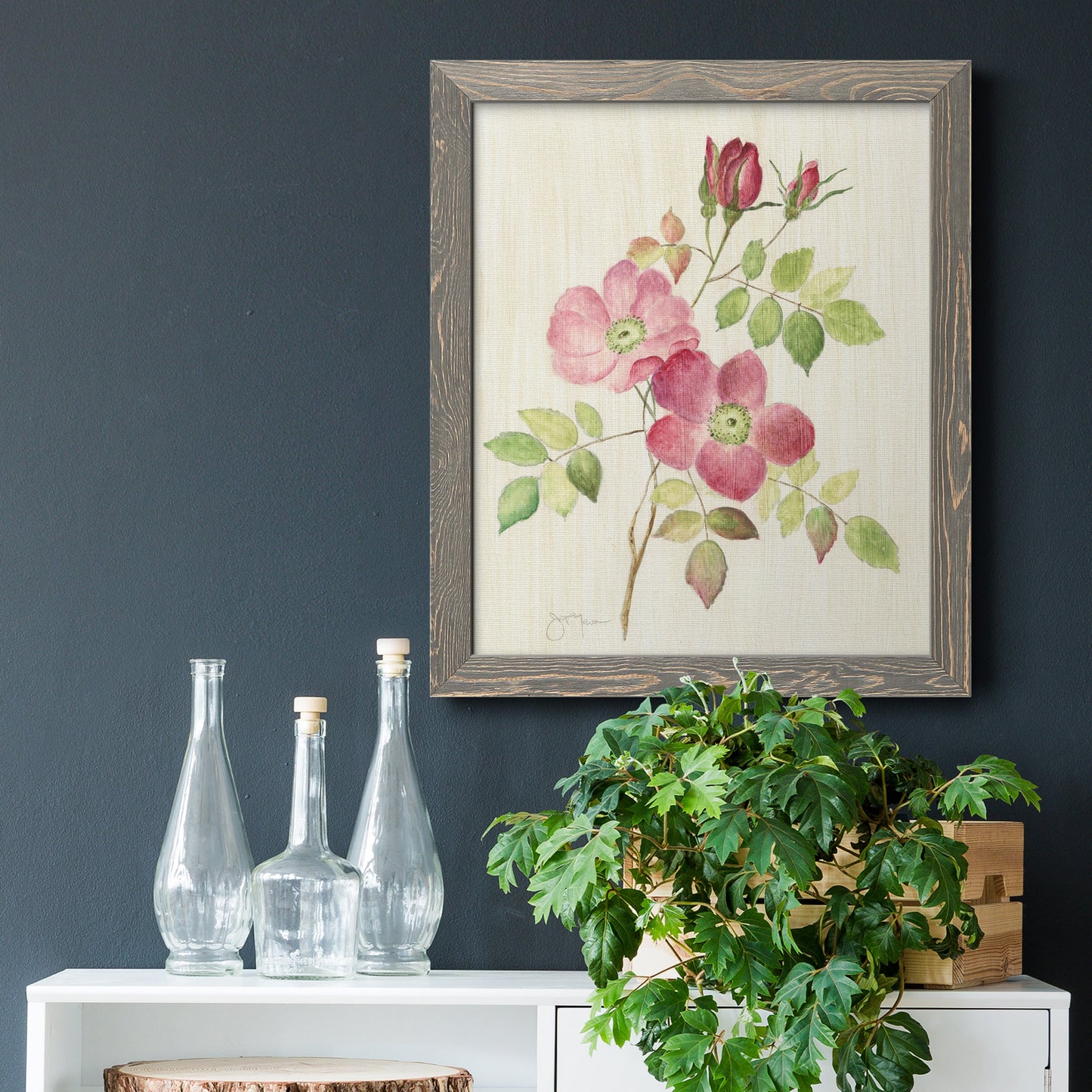 Dusty Rose I - Barnwood Framed Canvas Print