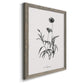 Simply Imperial - Barnwood Framed Canvas Print