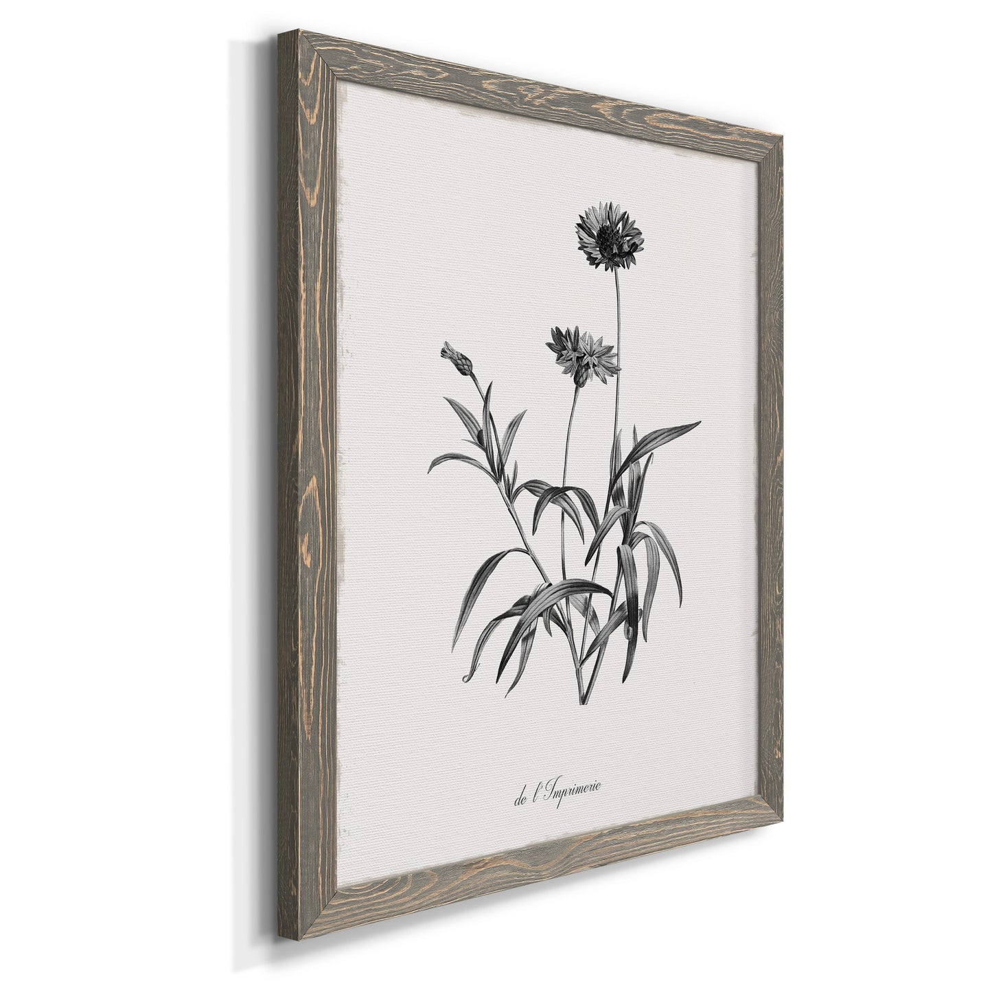 Simply Imperial - Barnwood Framed Canvas Print