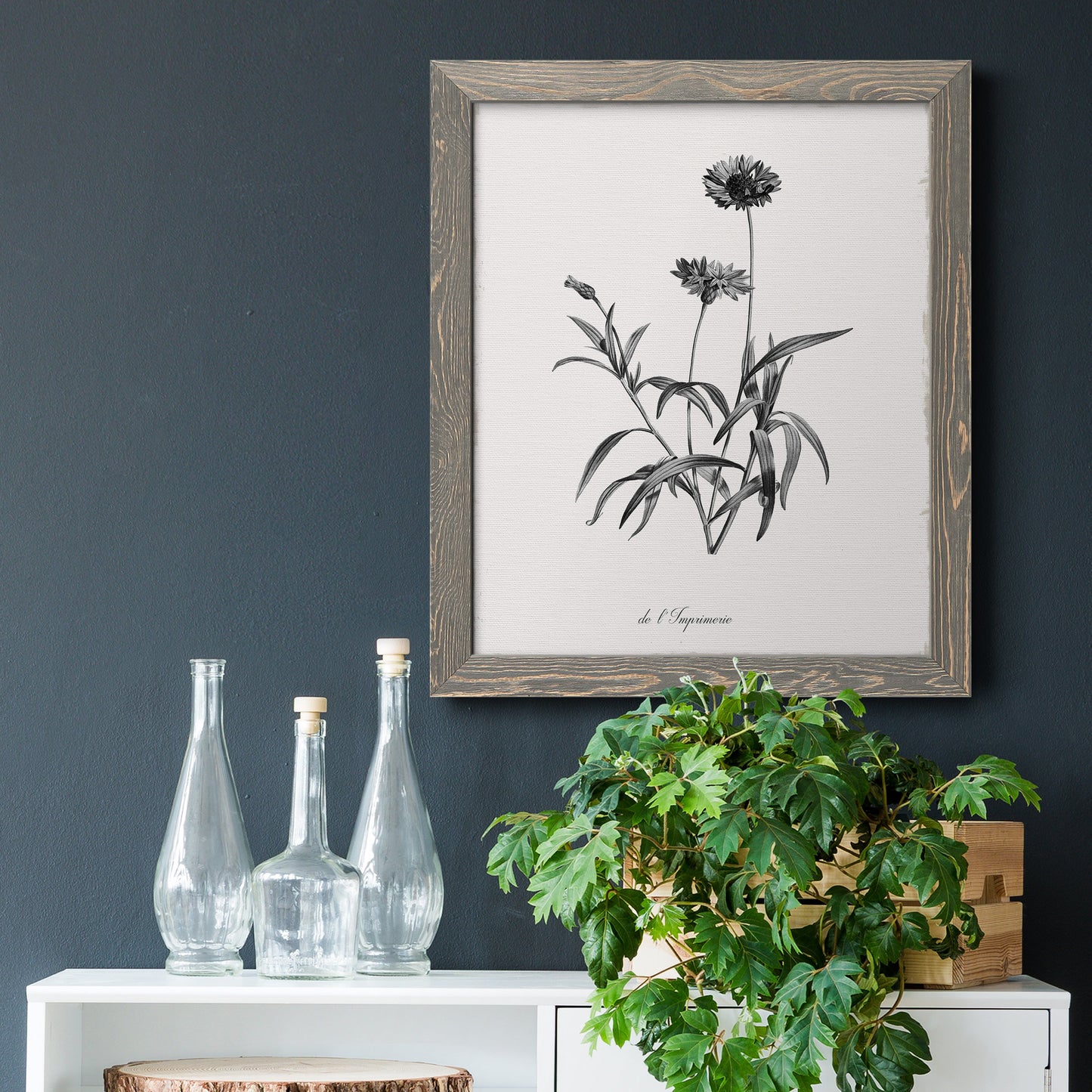 Simply Imperial - Barnwood Framed Canvas Print