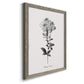 Simply Cape Leadwort - Barnwood Framed Canvas Print
