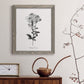 Simply Cape Leadwort - Barnwood Framed Canvas Print