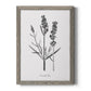 Simply Lavender - Barnwood Framed Canvas Print