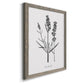 Simply Lavender - Barnwood Framed Canvas Print