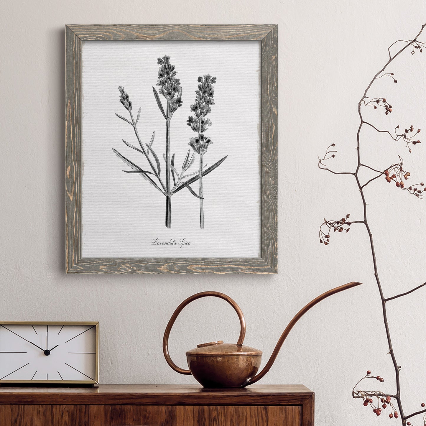 Simply Lavender - Barnwood Framed Canvas Print