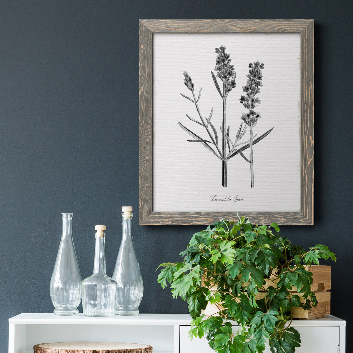 Simply Lavender - Barnwood Framed Canvas Print