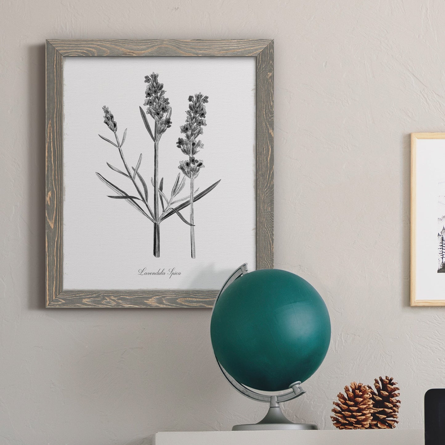 Simply Lavender - Barnwood Framed Canvas Print