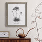 Simply Caladrinia - Barnwood Framed Canvas Print