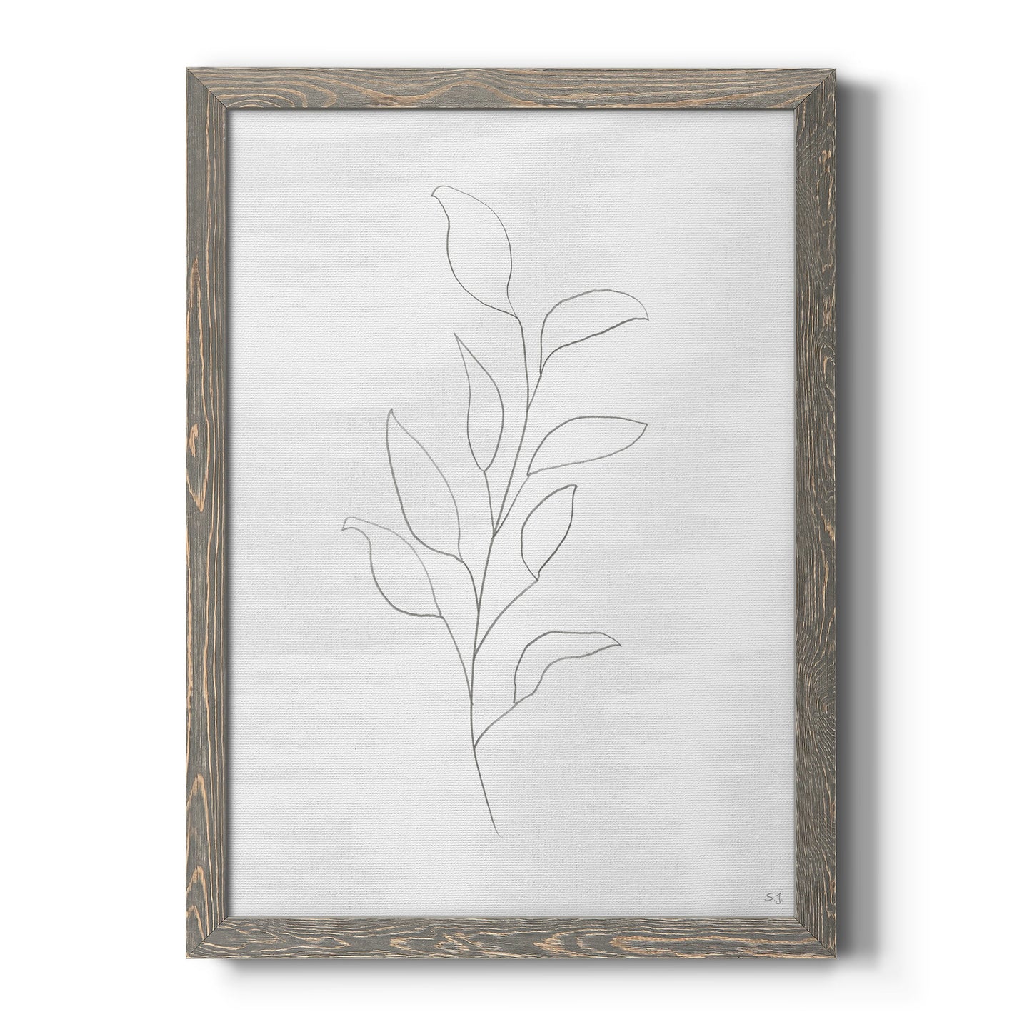 Botanical Gesture VI - Barnwood Framed Canvas Print