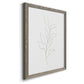 Botanical Gesture VI - Barnwood Framed Canvas Print