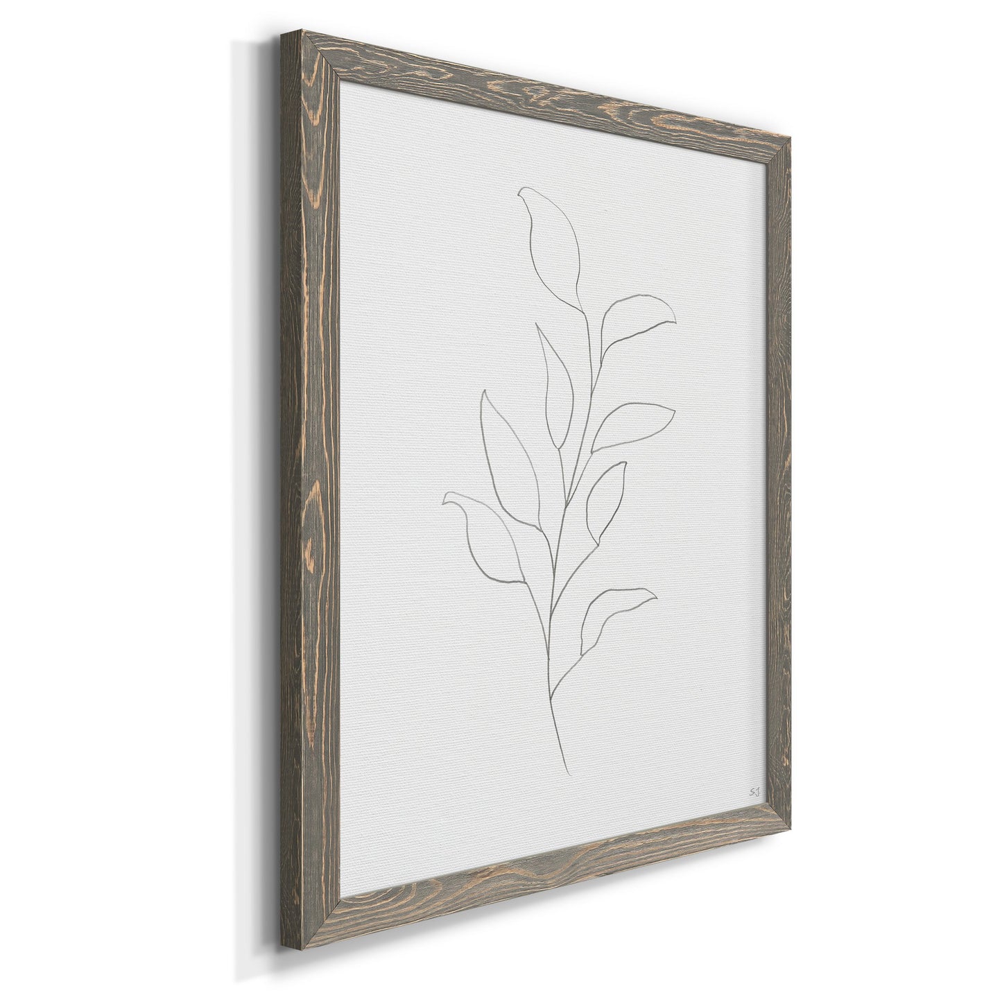 Botanical Gesture VI - Barnwood Framed Canvas Print