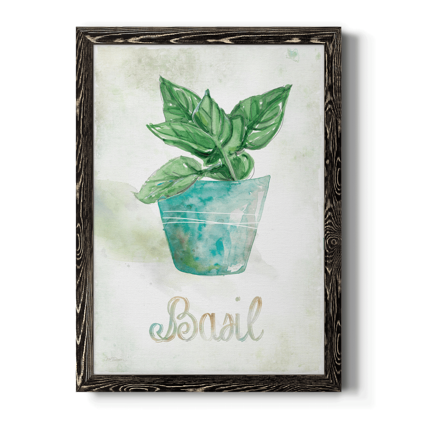 Potted Basil - Barnwood Framed Canvas Print