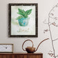 Potted Basil - Barnwood Framed Canvas Print