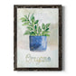 Potted Oregano - Barnwood Framed Canvas Print