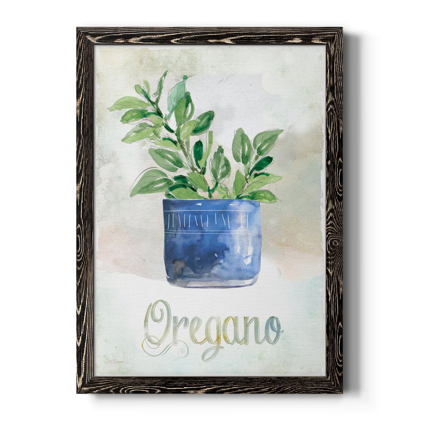 Potted Oregano - Barnwood Framed Canvas Print