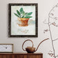 Potted Sage - Barnwood Framed Canvas Print
